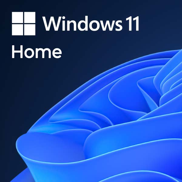 Windows 11 Home and Bisiness